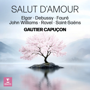 收聽Gautier Capucon的III. Scherzo. Molto allegro quasi presto歌詞歌曲