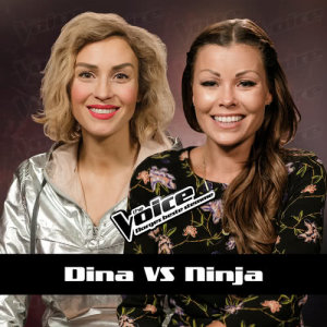 ดาวน์โหลดและฟังเพลง At Seventeen พร้อมเนื้อเพลงจาก Dina Sæle Ek
