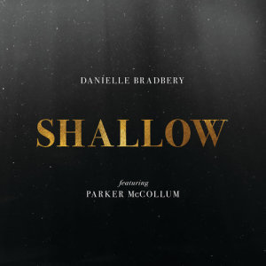 收聽Danielle Bradbery的Shallow歌詞歌曲