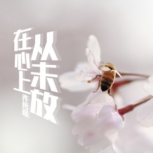 Listen to 从未放在心上 song with lyrics from 许哲峰