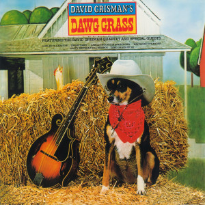 收聽David Grisman的Dawg Grass (Op. 12)歌詞歌曲