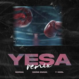 Norma ZM的專輯YESA (Remix) [Explicit]
