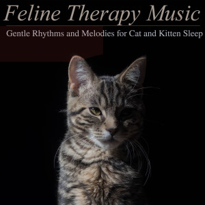 收聽RelaxMyCat的Cat Piano歌詞歌曲