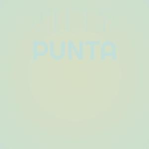 Various的专辑Cielo Punta