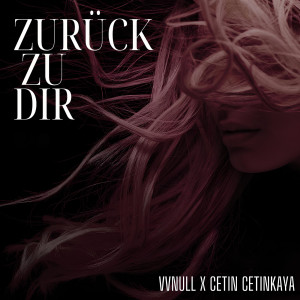Listen to Zurück Zu Dir song with lyrics from VVNULL