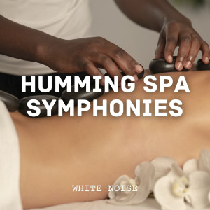 Album White Noise: Humming Spa Symphonies from White Noise Spa
