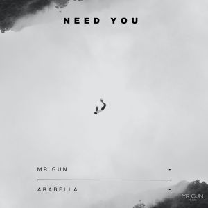 Listen to Need You song with lyrics from Mr. Gun