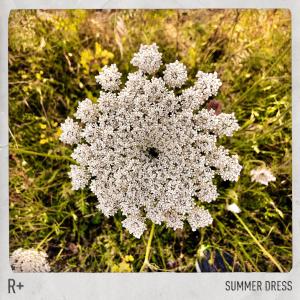 收聽R Plus的Summer Dress歌詞歌曲