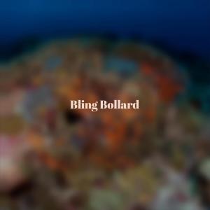 Dengarkan lagu Bling Bollard nyanyian Kries Wera dengan lirik