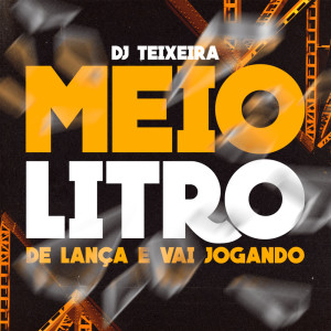 收听DJ Teixeira的Meio Litro de Lança e Vai Jogando (Explicit)歌词歌曲