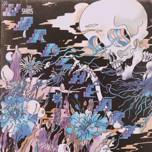 收聽The Shins的Painting a Hole (Flipped)歌詞歌曲
