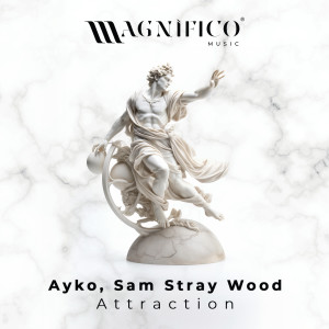 Ayko的專輯Attraction