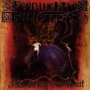 收聽Feeding Like Butterflies的Dead Song歌詞歌曲