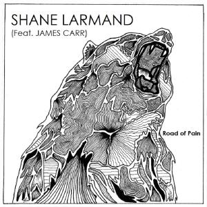收聽Shane Larmand的Road of Pain (feat. James Carr)歌詞歌曲