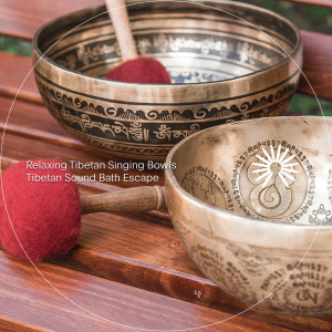 Dengarkan lagu Calming Instinct nyanyian Relaxing Tibetan Singing Bowls dengan lirik