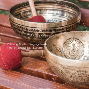 Dengarkan lagu Savasana (其他) nyanyian Relaxing Tibetan Singing Bowls dengan lirik