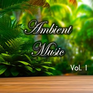 Listen to Vibration song with lyrics from Andrea Marangoni
