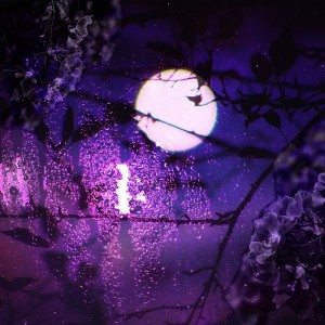 ดาวน์โหลดและฟังเพลง Luar de Rosas พร้อมเนื้อเพลงจาก Jolyne