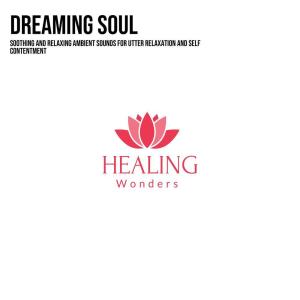 Album Dreaming Soul from Various