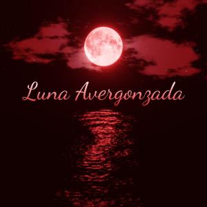 收聽Dulio的Luna Avergonzada歌詞歌曲