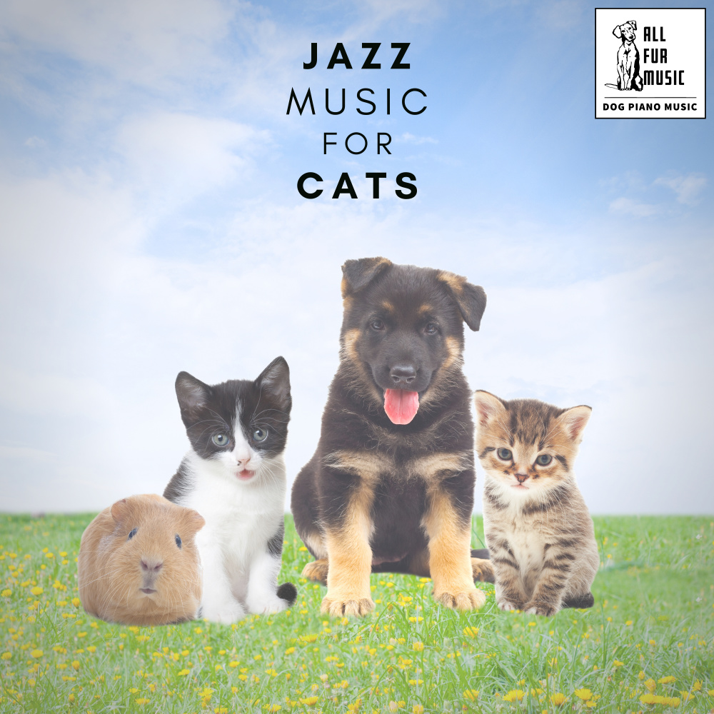 Jazz Cat