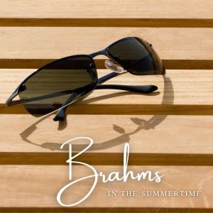 The St Petra Russian Symphony Orchestra的專輯Brahms in the Summertime