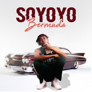 Album Soyoyo from Bermuda