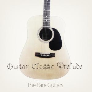 ดาวน์โหลดและฟังเพลง Españoleta: Allegro / Moderato Con Anima พร้อมเนื้อเพลงจาก The Rare Guitars