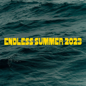 almost monday的專輯endless summer 2023