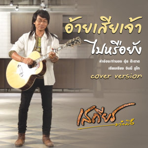 ดาวน์โหลดและฟังเพลง อ้ายเสียเจ้าไปหรือยัง (Cover) พร้อมเนื้อเพลงจาก เสถียร ทำมือ