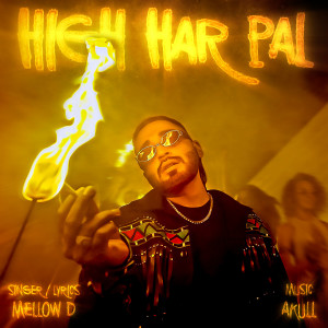 Album High Har Pal from Akull