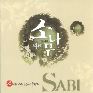 Dengarkan 소나무 lagu dari Sabi dengan lirik