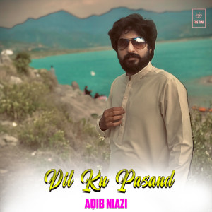 Listen to Dil Ku Pasand song with lyrics from Aqib Niazi