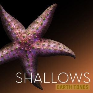 Earth Tones: Shallows