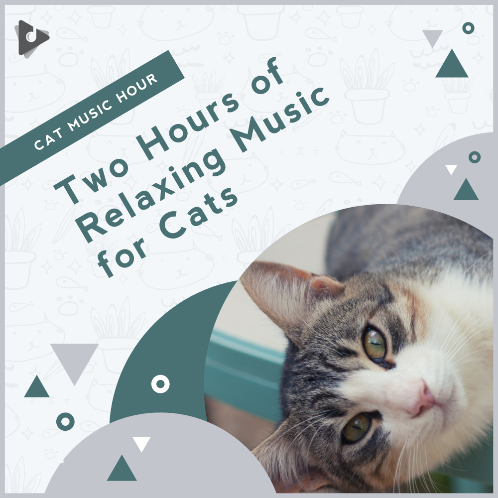 Peaceful Instrumental for Kittens