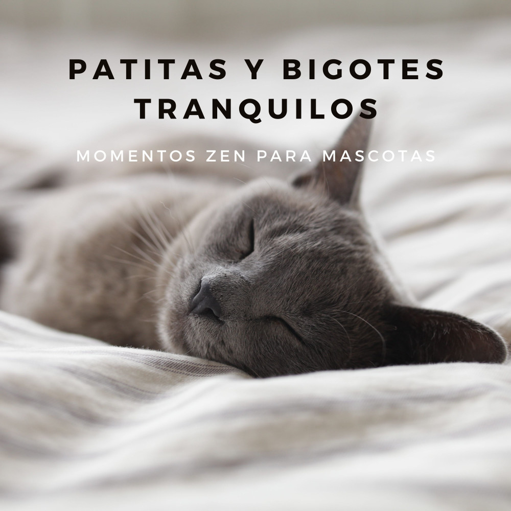 Viaje Del Zen Interior De Tu Mascota