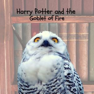 Album Harry Potter and the Goblet of Fire (Piano Themes) from Patrick Doyle