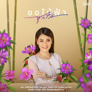 收聽เวียง นฤมล的ขอให้ฟ้าซุกใส่歌詞歌曲