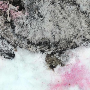 收聽[ B O L T ]的05​.​17 (by Oikos)歌詞歌曲