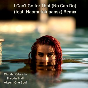 Claudio Citarella的專輯I Can't Go for That (No Can Do) (Remix)