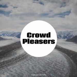 Album Crowd Pleasers (Explicit) from 