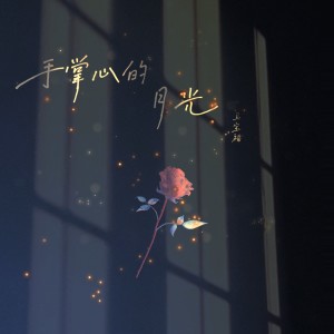 Album 手掌心的月光 from 马宝福