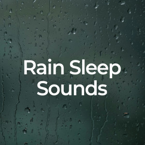 Rain Sleep Sounds的專輯Rain Sleep Sounds