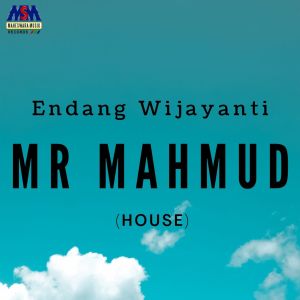 Mr Mahmud (House Music)