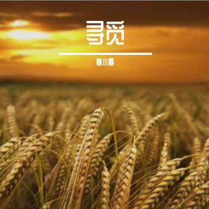 Listen to 怎叹 song with lyrics from 董小曼