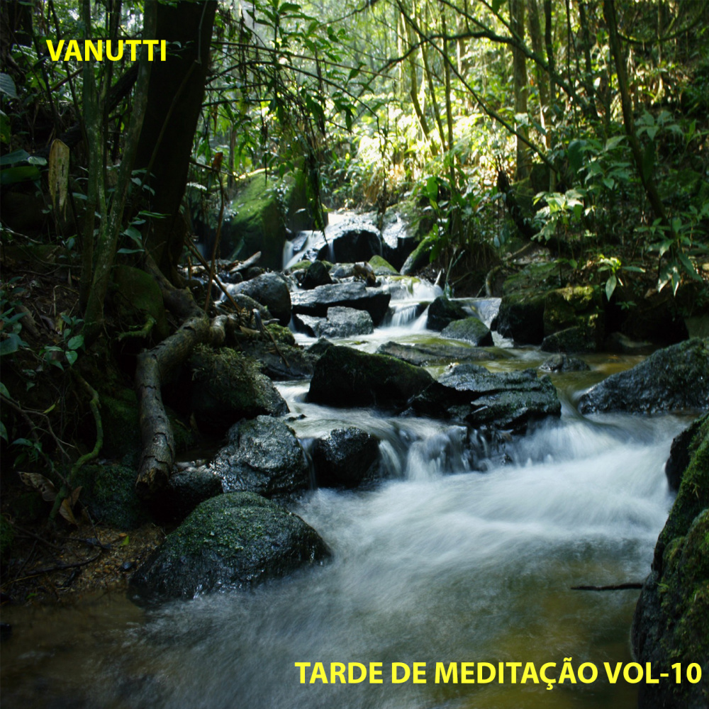 A Visão do Paraíso