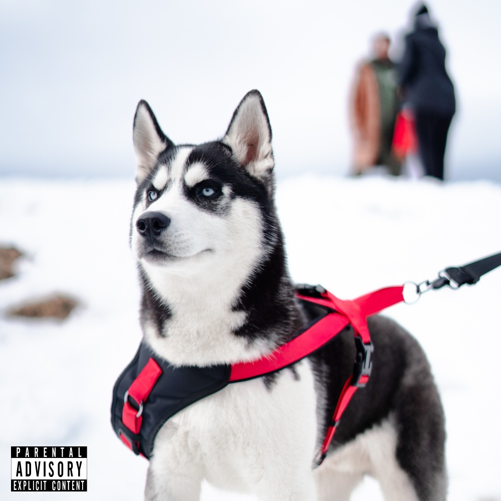 HUSKY(feat. A.GIRL, Big Skeez & Project Peters) (Remix|Explicit)