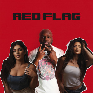 Red Flag dari SI RI