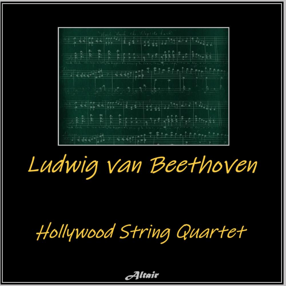 String Quartet NO.13 in B-Flat Major, Op.130: VI. Finale. Allegro