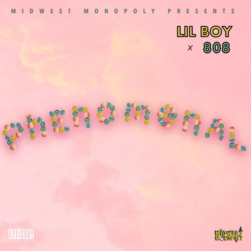 Phenomenal (feat. 808) (Explicit)